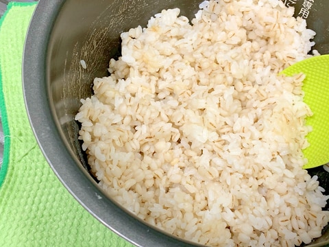 目指せ麦飯上級者! ほぼ5割麦ご飯の覚書イエア!